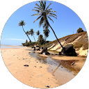 Leilla S. profile picture